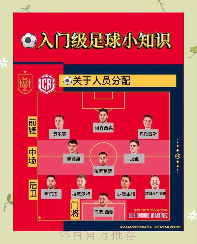 世界杯下注网站最新入口全方位深度解析